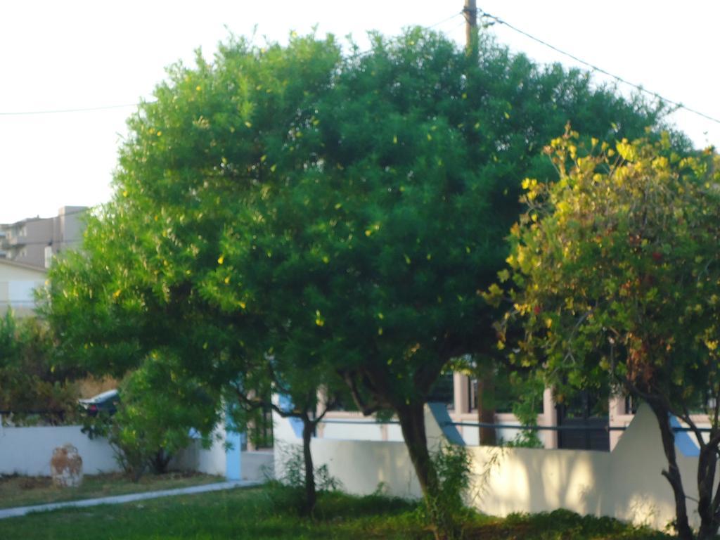 אפאנטו Eleni'S Apartments חדר תמונה
